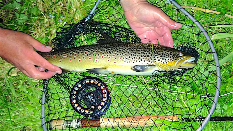 wet fly fishing for trout welsh dee