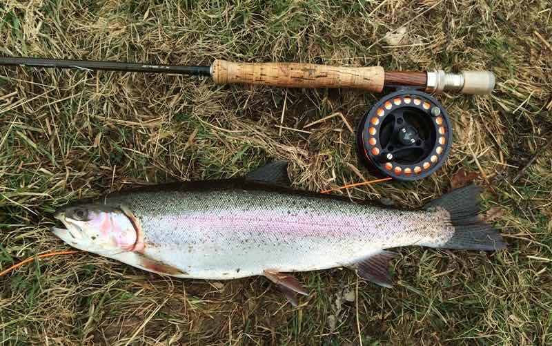 Fly fishing at Stocks Reservoir - A rainbow trout Red Letter Day At the start of May, I treated my son, George, a days fishing at Stocks Reservoir fishing trip as part of his birthday celebrations.