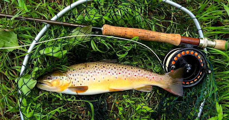 brown trout fly fishing welsh Dee
