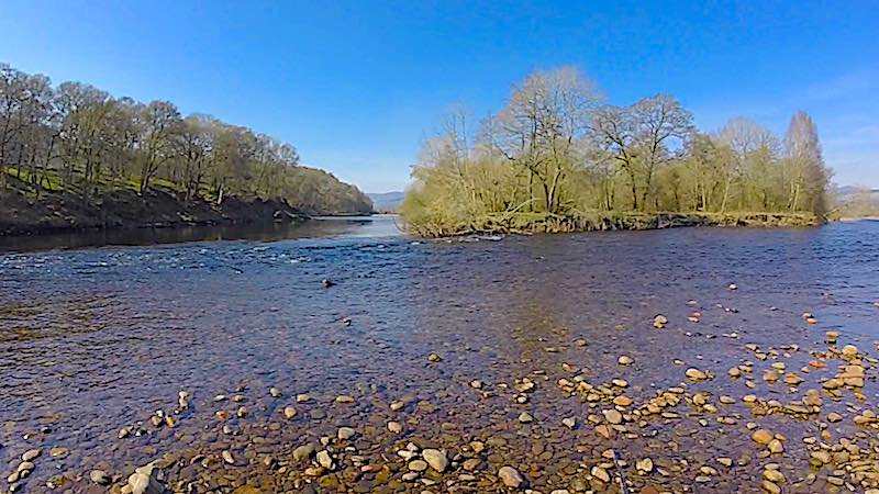 River Tay salmon fishing: A great holiday that started with me catching my first Tay salmon During this River Tay salmon fishing holiday, I caught my first Tay Springer while fly fishing on the Lower Kinnaird Estate beat. The salmon was caught in the Guay Pool.