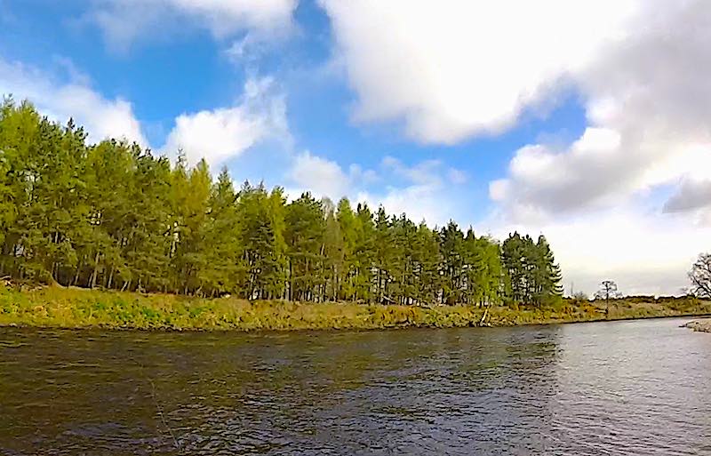 River Tay salmon fishing: A great holiday that started with me catching my first Tay salmon During this River Tay salmon fishing holiday, I caught my first Tay Springer while fly fishing on the Lower Kinnaird Estate beat. The salmon was caught in the Guay Pool.