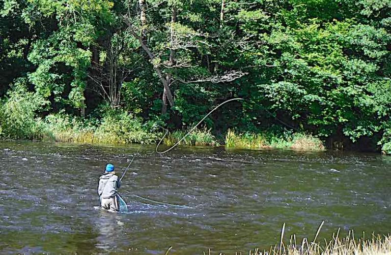 Fishing in Llangollen: 19 Amazing locations on the Welsh Dee