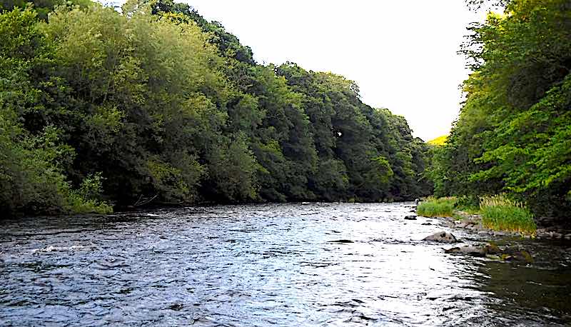 How to fish the tip pool on the welsh dee at llangollen