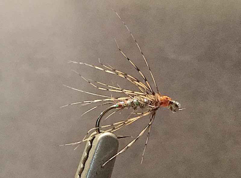 fly fishing march brown spider welsh dee llangollen