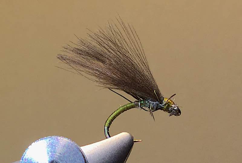 CDC olive fly fishing trout welsh dee llangollen
