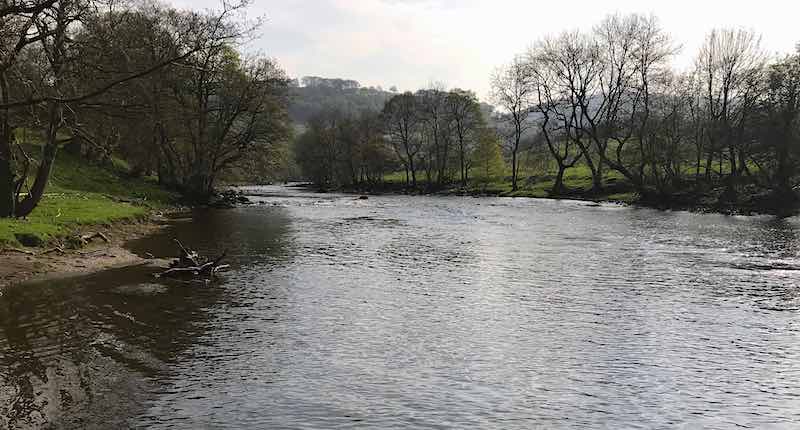 trout fly fishing Welsh Dee Midland fly fishers
