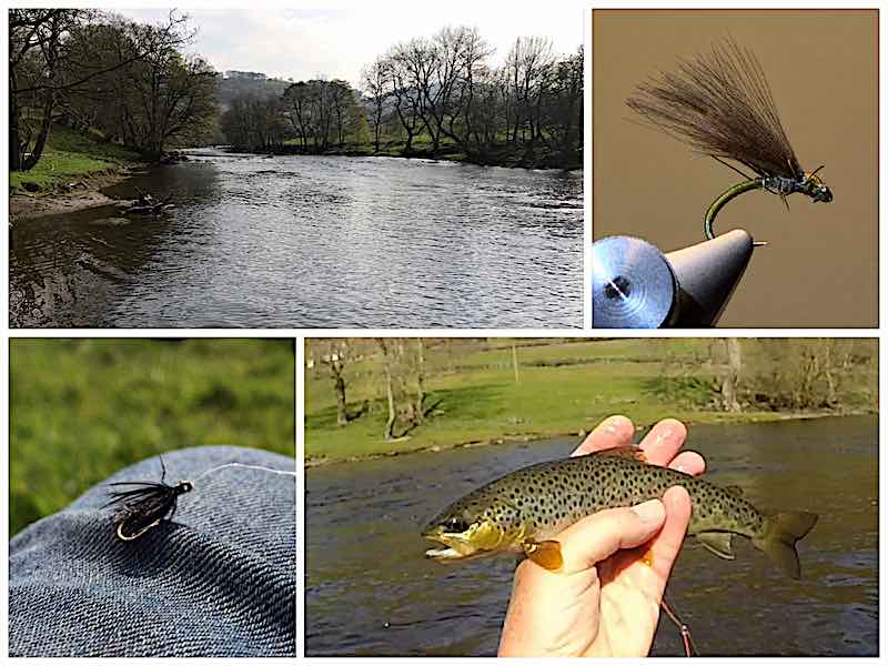 trout fly fishing midland Flyfishers beat Welsh Dee