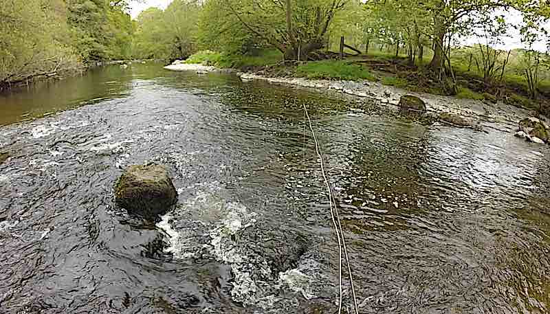 trout fly fishing River Alwen
