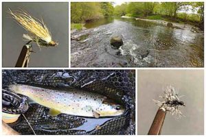 trout fishing river Alwen