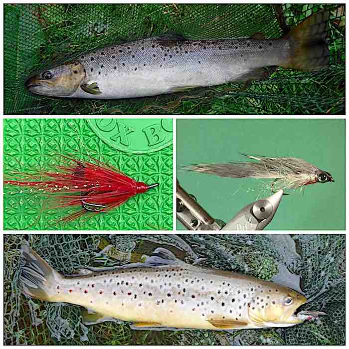 Fishing on the Welsh Dee – September report