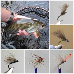 October grayling fly selection