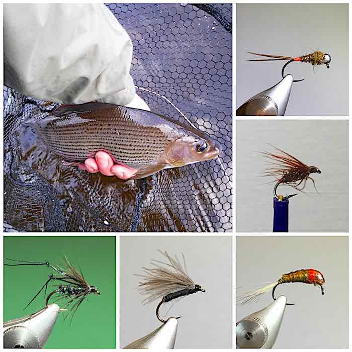 grayling fly fishing in November