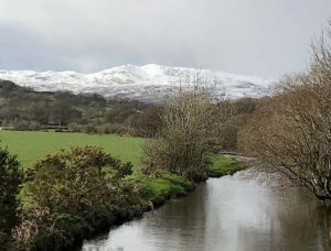 fly fishing on the Afon Llafar