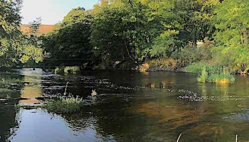 Fly fishing Sycamore Run Welsh Dee