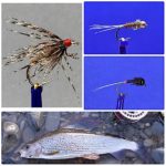 Flies for July feature image