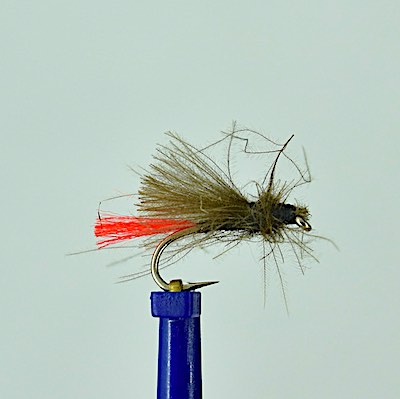 CDC smut - best trout flies for august