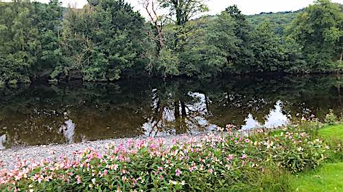 Hafod Pool -1 River Conwy