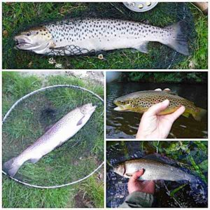 Welsh Dee July fishing report