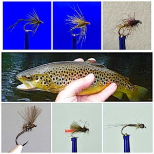 best trout flies for august