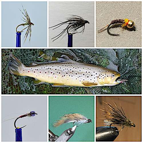 Trout Flies Fly 6 HOT HEADED for Trout Fly Fishing UK Trout Fishing Flies Flys 