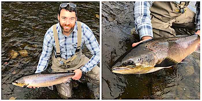 Dafydd salmon - September fishing report