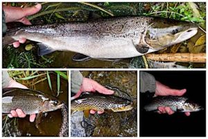Feature image - September fishing report