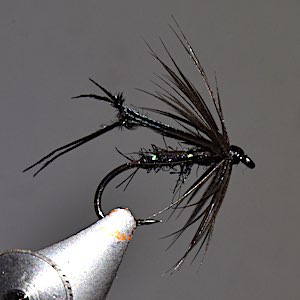 Black Hopper Fly: How to tie my best performing pattern A step-by-step guide on how to tie a black hopper fly pattern, which has been perfected for trout and grayling fishing on rivers, lakes and reservoirs.