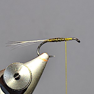 Dry Fly Tying Feathers Explained eventually. - Troutlore