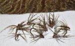 March Brown spider feature image