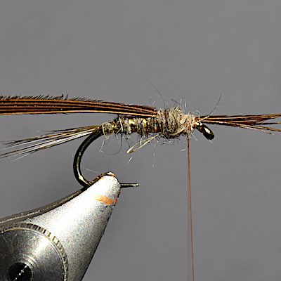 Hare's Ear Nymph: How to tie this amazing fly pattern