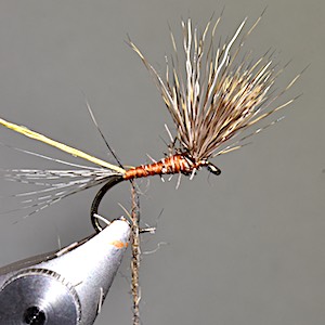 March Brown dry fly - stage 4
