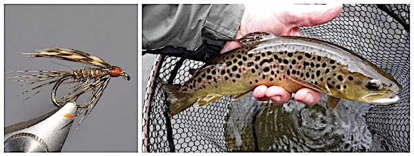 March Brown wet fly feature image