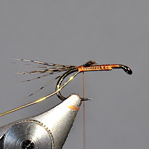 March Brown wet fly stage -1