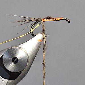 A March Brown wet fly that is great for early season trout