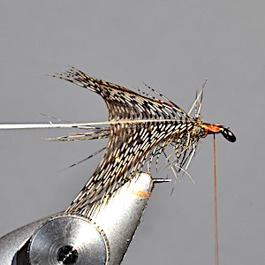March Brown wet fly stage 5