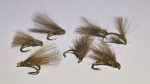 CDC Olive fly