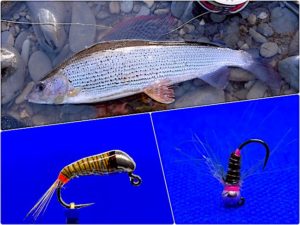 Grayling flies for February feature image