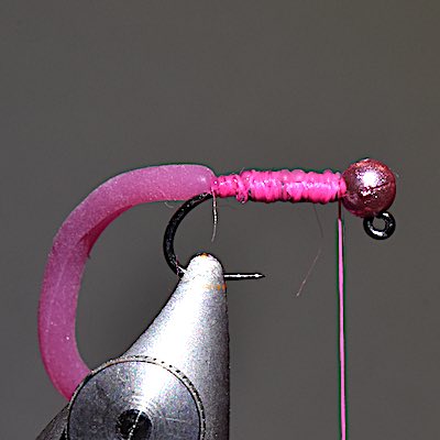 Hot-pink Squirmy Wormy stage 3