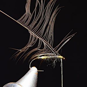 6 Mosche Umide Per Trota - Pearly Butt Waterhen Bloa - Fly Fishing UK - Top Seller (taglia A Scelta) - Foto 3