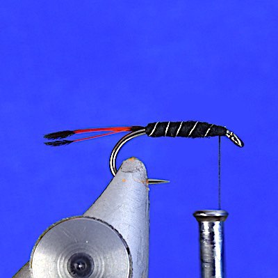 Pennell Wet Flies — Panfish On The Fly  Panfish, Fly fishing flies  pattern, Bluegill