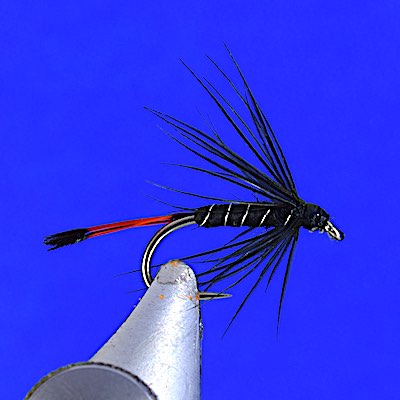 Black Pennell fly