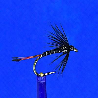 Black Pennell wet fly - tungsten bead thorax
