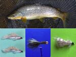 fly fishing with streamers feature image