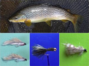 Fly fishing with streamers for big trout on rivers