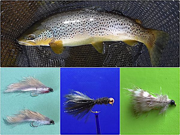 Fall Streamers - Fly Fisherman