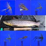 trout flies for march feature image