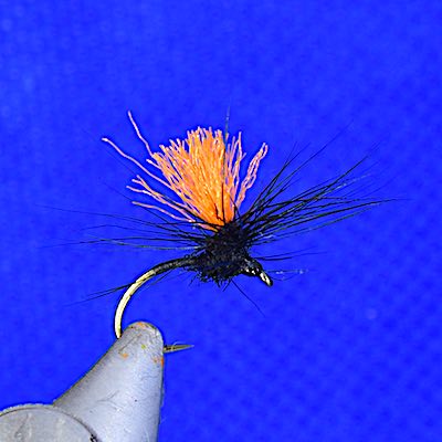 Black Gnat: How to tie 3 great flies for trout fishing