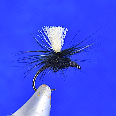 Black Gnat dry fly - parachute