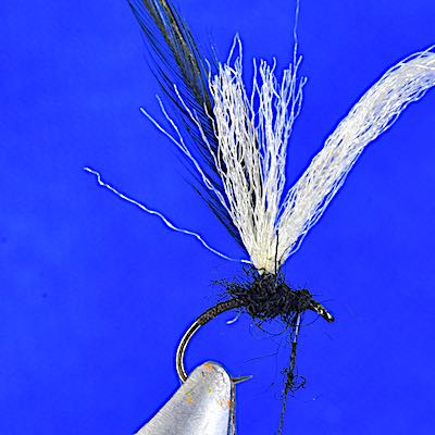 Black Gnat dry fly - stage 4