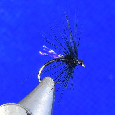 Black Gnat dry fly - sparkle wing